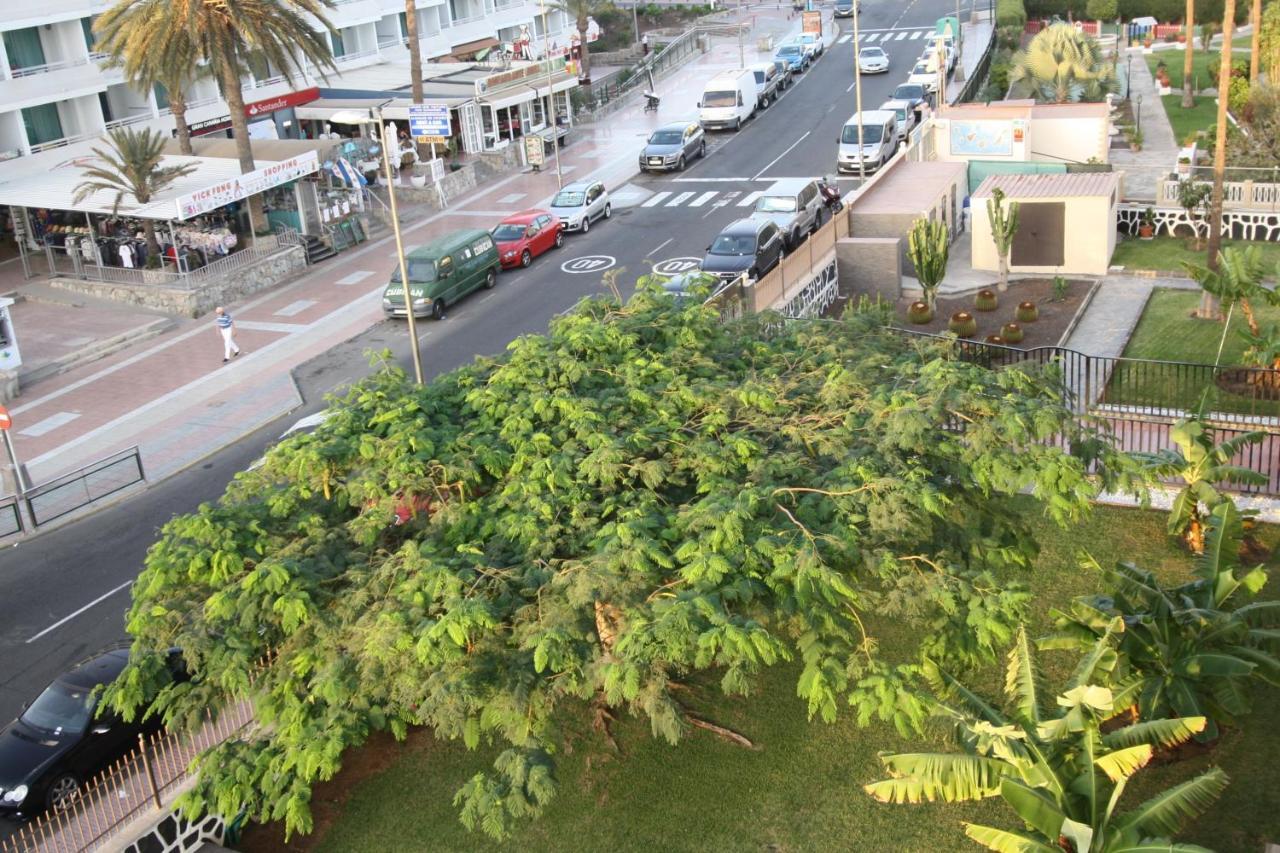 Fantastic Apartment With Sea Views بلايا ديل إنغلز المظهر الخارجي الصورة
